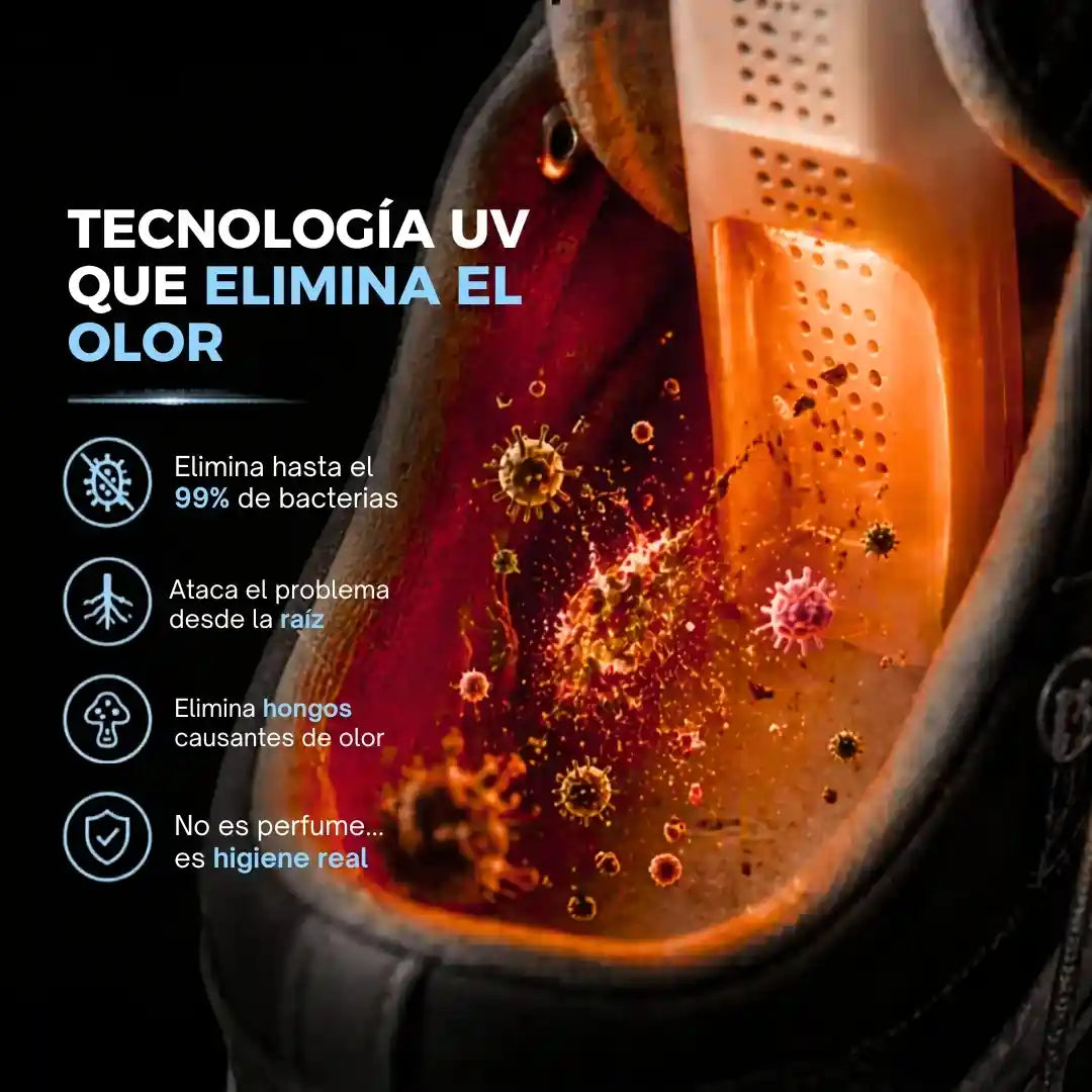Secador de Zapatos